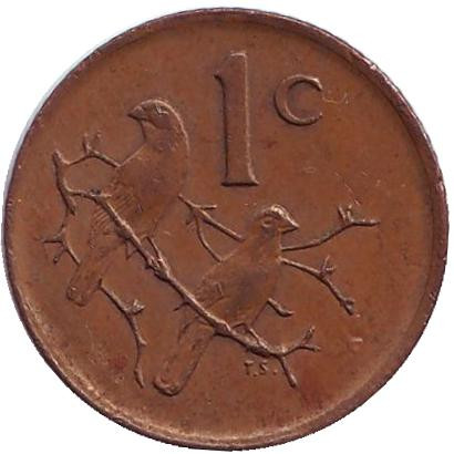 Монета 1 цент. 1984 год, ЮАР. Воробьи.