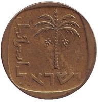 Пальма. Монета 10 агор. 1974 год, Израиль.