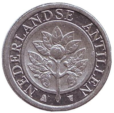 Монета 1 цент. 2008 год, Нидерландские Антильские острова. Цветок апельсинового дерева.