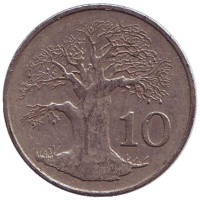 Баобаб. Монета 10 центов. 1980 год, Зимбабве.