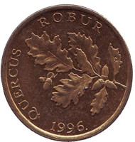 Дуб черешчатый. Монета 5 лип. 1996 год, Хорватия.