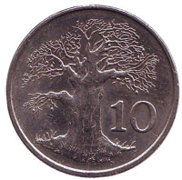 Баобаб. Монета 10 центов. 1997 год, Зимбабве.