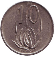 Алоэ. Монета 10 центов. 1977 год, Южная Африка.
