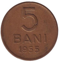 Монета 5 бани. 1955 год, Румыния. Монета 5 бани. 1955 год, Румыния.