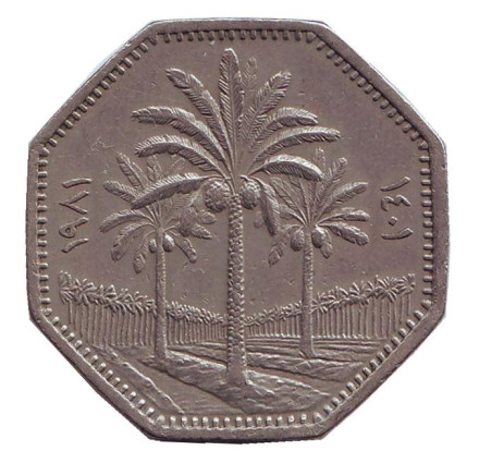 Монета 250 филсов. 1981 год, Ирак. Пальмовые деревья.