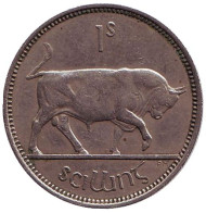 Монета 1 шиллинг. 1955 год, Ирландия. Бык. Монета 1 шиллинг. 1955 год, Ирландия. Бык.