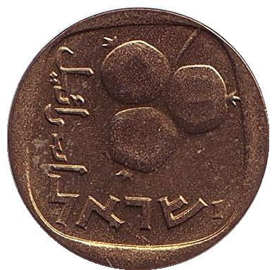 Монета 5 агор. 1966 год, Израиль. UNC. Гранат.