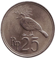 Монета 25 рупий. 1971 год, Индонезия. Веероносный венценосный голубь. Монета 25 рупий. 1971 год, Индонезия. Веероносный венценосный голубь.