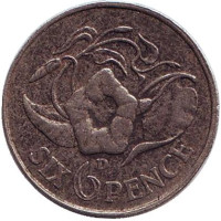 Вьюнок пурпурный. Монета 6 пенсов. 1964 год, Замбия.