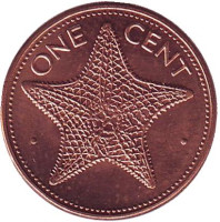 Морская звезда. Монета 1 цент. 1989 год, Багамские острова. UNC.