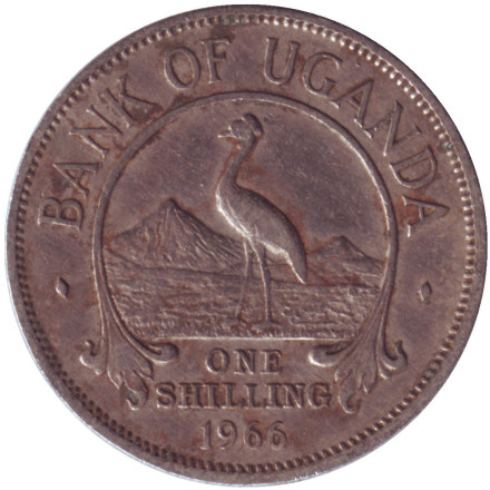 Монета 1 шиллинг. 1966 год, Уганда. Райский журавль. (Африканская красавка).