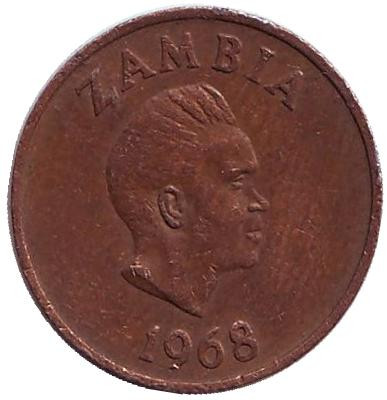 Монета 1 нгве. 1968 год, Замбия. Трубкозуб. (Аардварк). Монета 1 нгве. 1968 год, Замбия. Трубкозуб. (Аардварк).