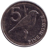 Замбезийская вдовушка. Монета 5 нгве. 2013 год, Замбия.