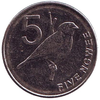 Монета 5 нгве. 2013 год, Замбия. Замбезийская вдовушка.