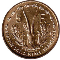 Газель. Монета 5 франков. 1956 год, Французская Западная Африка.