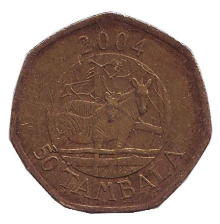 Монета 50 тамбал. 2004 год, Малави. Зебры.