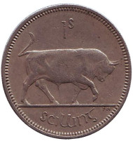 Монета 1 шиллинг. 1966 год, Ирландия. Бык. Монета 1 шиллинг. 1966 год, Ирландия. Бык.
