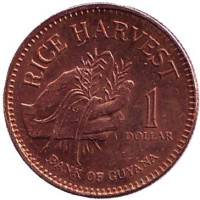 Урожай риса. Монета 1 доллар, 2008 год, Гайана.