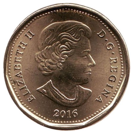 Монета 1 доллар. 2016 год, Канада. Утка. Монета 1 доллар. 2016 год, Канада. Утка.