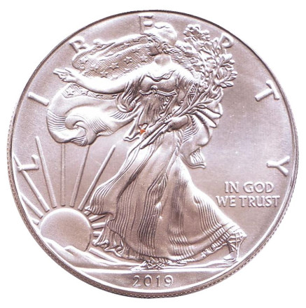Монета 1 доллар, 2019 год, США. Шагающая свобода.