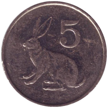 Монета 5 центов. 1999 год, Зимбабве. Кролик.