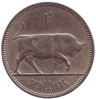Монета 1 шиллинг. 1968 год, Ирландия. Бык. Монета 1 шиллинг. 1968 год, Ирландия. Бык.