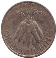 Связка початков кукурузы. Монета 1 шиллинг. 1964 год, Малави. 
