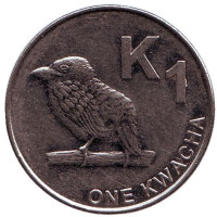 Замбийский дятел. Монета 1 квача. 2014 год, Замбия.