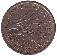 Африканские антилопы. (Западные канны). Монета 50 франков. 1977 год (D), Центральные Африканские штаты. 