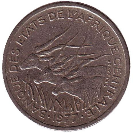 Монета 50 франков. 1977 год (D), Центральные Африканские штаты. Африканские антилопы. (Западные канны).