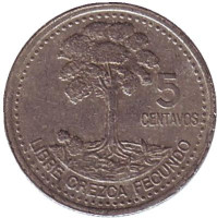 Хлопковое дерево. Монета 5 сентаво, 2000 год, Гватемала. 