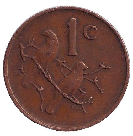 Монета 1 цент. 1969 год, ЮАР. (Suid Afrika) Воробьи.