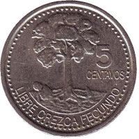 Хлопковое дерево. Монета 5 сентаво, 2006 год, Гватемала. 