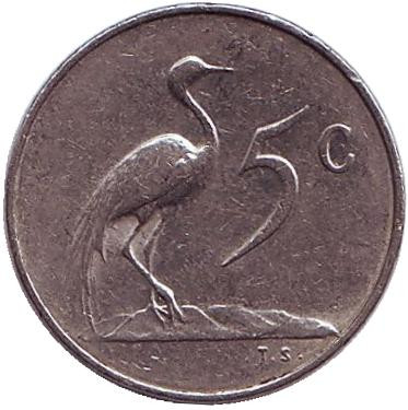Монета 5 центов. 1965 год, Южная Африка. (Suid Afrika). Африканская красавка.