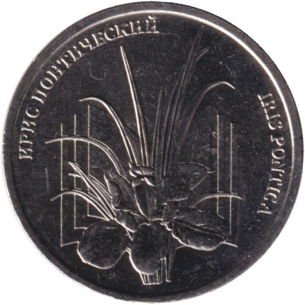 Монета 1 рубль. 2024 год, Приднестровье. Ирис Понтический. Красная книга Приднестровья.