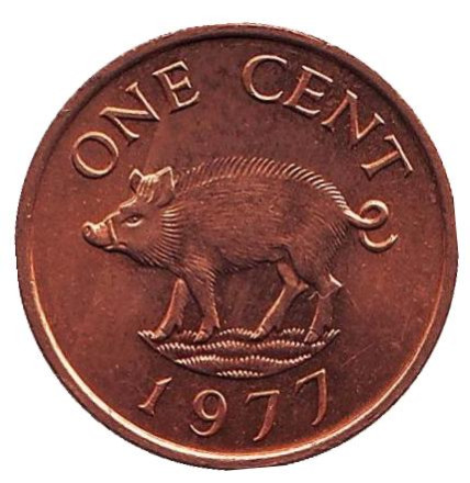Монета 1 цент. 1977 год, Бермудские острова. UNC. Поросенок.