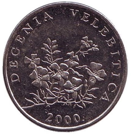 2000-1gn.jpg