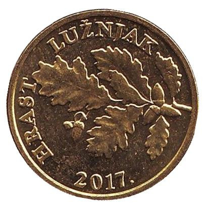 Монета 5 лип. 2017 год, Хорватия. Дуб черешчатый.