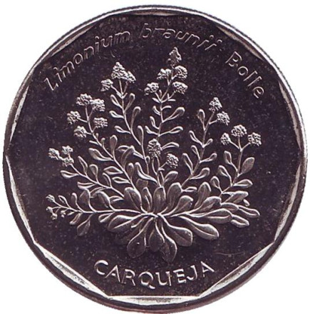 Монета 20 эскудо. 1994 год, Кабо-Верде. UNC. Кермек (лимонник) Брауна.