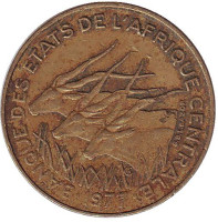 Африканские антилопы. (Западные канны). Монета 10 франков. 1977 год, Центральные Африканские Штаты.