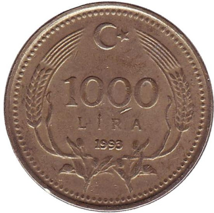 Монета 1000 лир. 1993 год, Турция.