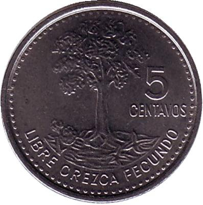 Монета 5 сентаво, 2009 год, Гватемала. Хлопковое дерево.