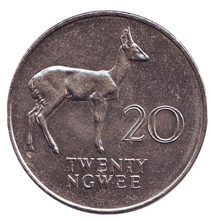 Монета 20 нгве. 1988 год, Замбия. Водяной козел.