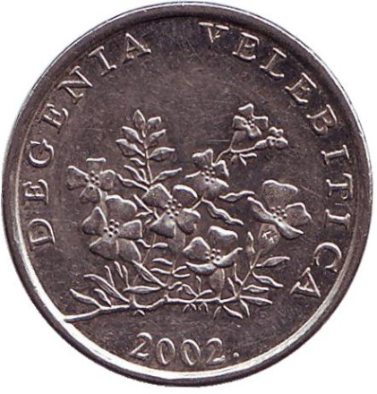 2002-1bf.jpg
