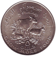 ФАО. Корова, овцы. Монета 5 шиллингов. 1970 год, Сомали.