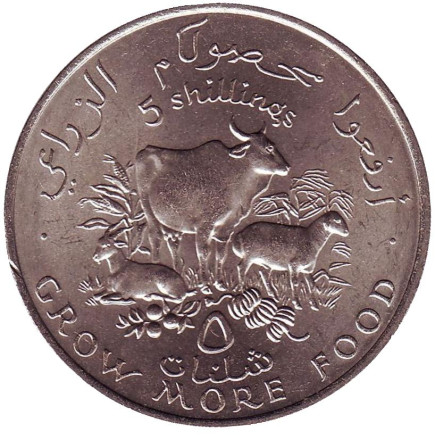 Монета 5 шиллингов. 1970 год, Сомали. ФАО. Корова, овцы.