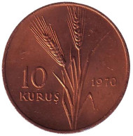 Монета 10 курушей. 1970 год, Турция. aUNC. Стебли овса. Монета 10 курушей. 1970 год, Турция. aUNC. Стебли овса.