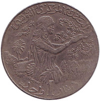 FAO. Женщина, собирающая урожай. Монета 1 динар. 1990 год, Тунис. 