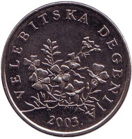 Монета 50 лип. 2003 год, Хорватия. Дегения велебитская. Монета 50 лип. 2003 год, Хорватия. Дегения велебитская.