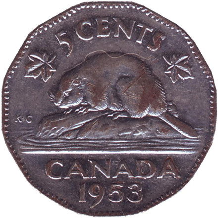 Монета 5 центов. 1953 год, Канада. Бобр.